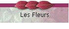 Les Fleurs